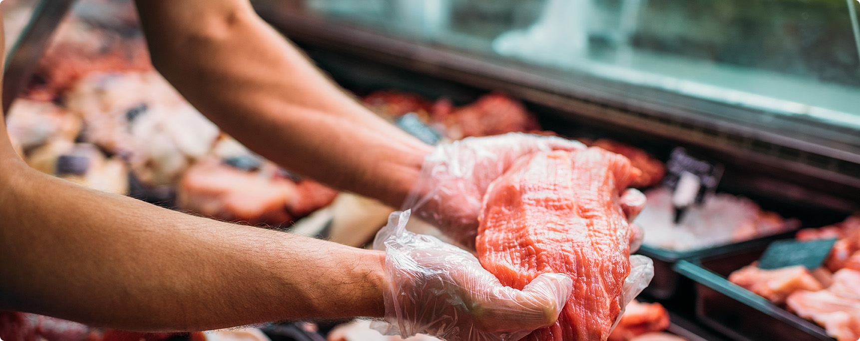 Путешествовать