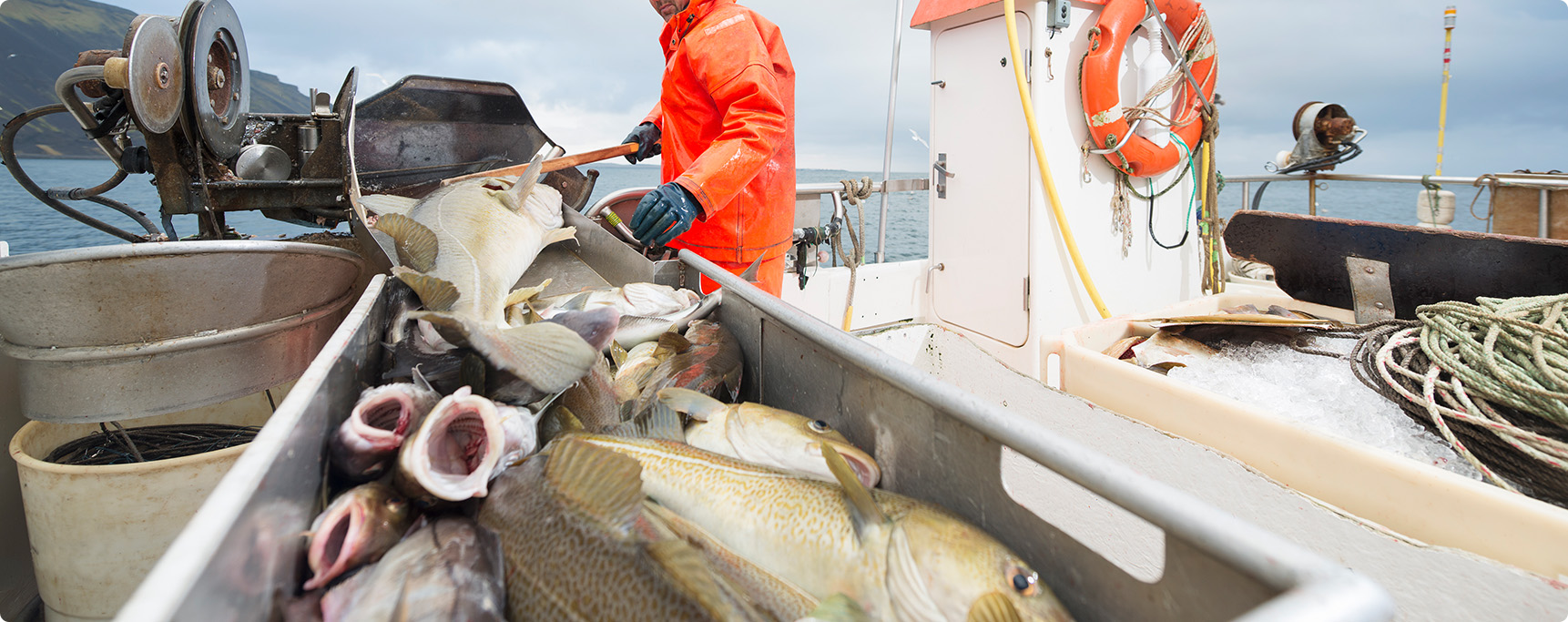 На открытом воздухе